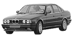 BMW E34 P02E0 Fault Code